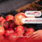 صادرات کنسانتره انار