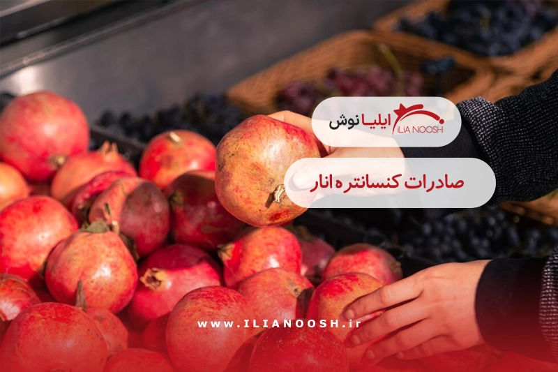 صادرات کنسانتره انار