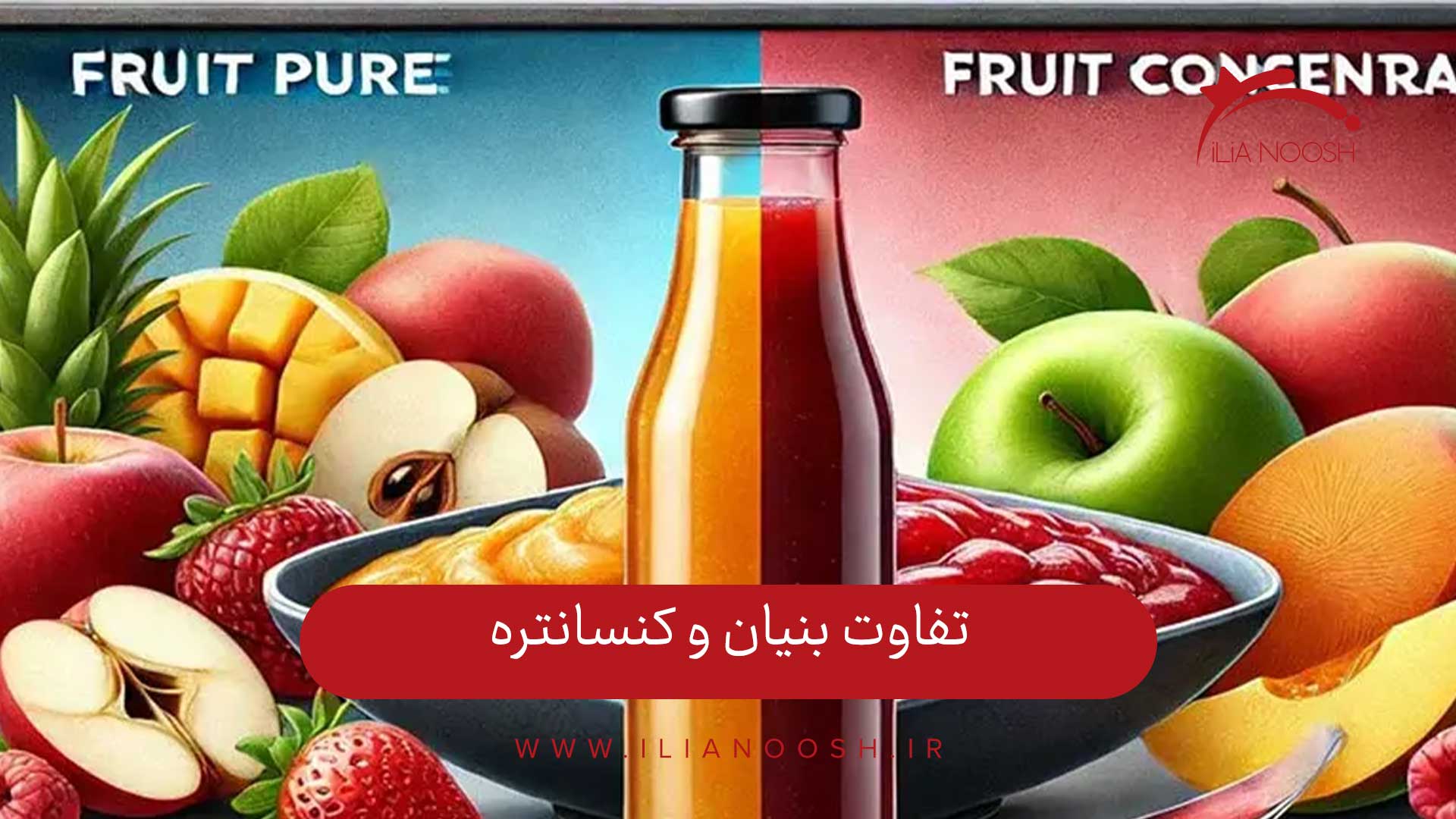 تفاوت بنیان و کنسانتره